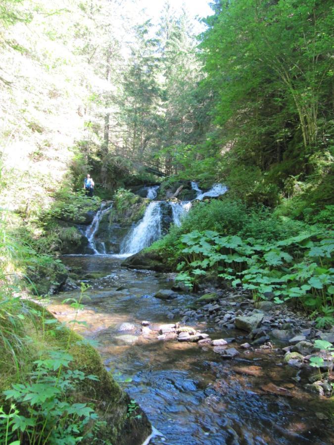 Roetenbacher Wiesen Friedenweiler Kültér fotó